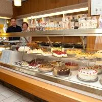 Hotel Goldinger, hotel en Landstuhl