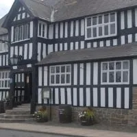 The Radnorshire Arms Hotel, хотел в Presteigne