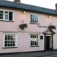 The Dog Inn, hotel in Halstead