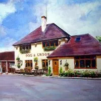 Dog & Crook Braishfield, hotel Romseyben
