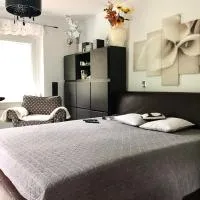 WYPOSAŻONY apartament przy strumyku w Górach Sowich, Smart TV, Odpocznij w naturze!, Hotel in Walim