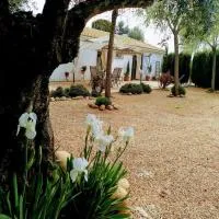 La Casa del Abuelo Jose, hotel em Marmolejo
