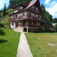 Pensiunea Roua Diminetilor, hotel in Ruşca