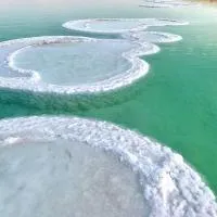 Nadia Hosting Dead Sea, hotell i Neve Zohar