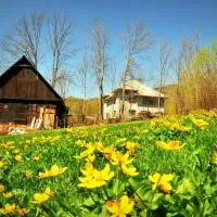 Agropensiunea Tarina, hotel v destinaci Roşia Montană