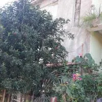 Pertinho da Mata, khách sạn ở Cachoeiras de Macacu