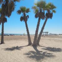 three palm trees on a sandy beach at Apart. BREZO Nova-Canet. Playa, Canet de Berenguer
