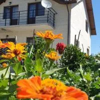 PENSIUNEA AGROTURISTICĂ ANGHELIKI, hotel en Tulcea
