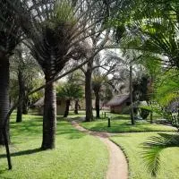 Shumba Safari Bush Camp – hotel w mieście Hoedspruit