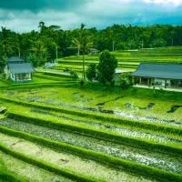 KUBU D'UME HOMESTAY, hotel in Jatiluwih
