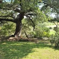 Hill Country Haute n Haus Relax and Renew, hotel en Fischer