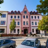 Viesnīca Hotel U Labutě pilsētā Ždjāra pie Sāzavas
