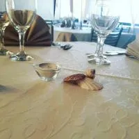 Hotel Mariagrazia, hotel en Calopezzati