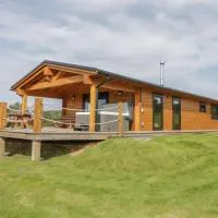 Bryn Eiddon Log Cabin, hotel u gradu Machynlleth
