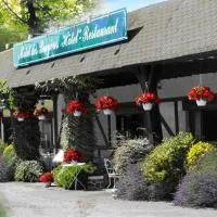 Motel des Bruyères, hotel in Lamotte-Beuvron