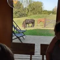 Le Relais d'Artagnan - relais équestre, hotel v destinácii Mortier
