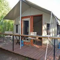 The Wild Olive Tree Camp, ξενοδοχείο σε Manyeleti Game Reserve