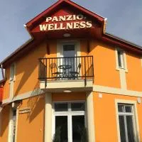 Tó- Party Panoráma Panzió & Wellness, Hotel in Kiszombor