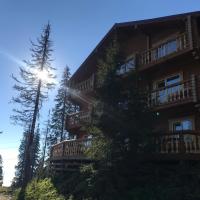 Alpin Eco Chalet & Wellness, hôtel à Dragobrat