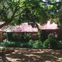 Dullstroom में, होटल Critchley Hackle - Leisure rooms