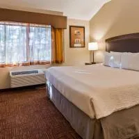 Best Western Plus Inn of Williams, hotel en Williams