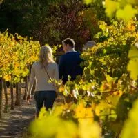 Discovery Parks - Clare – hotel w mieście Clare