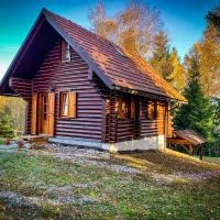 Pine Lodge, hotel em Hlevci