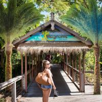 Airlie Beach Magnums - Adults Only，艾爾利海灘的飯店
