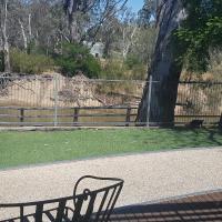 Adelphi Apartment 6 Riverview 2 BDRM or 6A King Studio Riverview both with balconies, hotel in Echuca