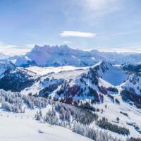 Hôtel des Portes du Soleil