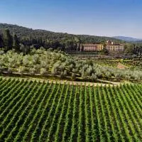 Torre a Cona Wine Estate, hotel din Florența