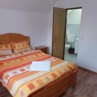 Vila Bucovina, ξενοδοχείο σε Ciocăneşti