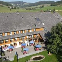Hotel Zum Löwen - Unteres Wirtshaus, hotel v destinaci Titisee-Neustadt