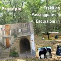 affitta camere San Procopio, хотел в Troina