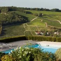 Le Panoramic, hotel en Sancerre