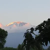 Kilimanjaro White House Hotel, hotel v destinaci Moshi