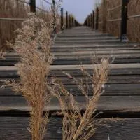 Sultan Pansion Bird Paradise, מלון בOvaciftlik