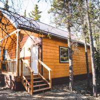 Denali Wild Stay - Redfox Cabin, Free Wifi, private, sleep 6, Hotel in Healy