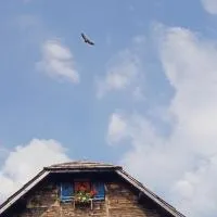Planinarski dom "Tornik" Zlatibor, hotelli kohteessa Ribnica