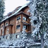Вотавілю Драгобрат, ξενοδοχείο σε Dragobrat