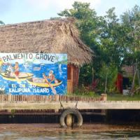 Palmento Grove Garifuna Eco-Cultural & Healing Institute, hotel blizu aerodroma Dangriga Airport - DGA, Hopkins