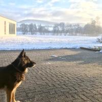 Ferienhaus Talblick