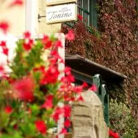 Hotel Restaurant Tonino, hotel v destinaci Bad Bentheim