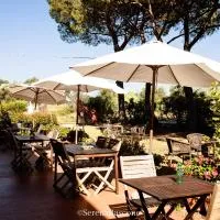 Locanda il Fornello, отель в городе Альтопашо