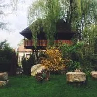 Casa Ott, hotel a Prisaca Dornei