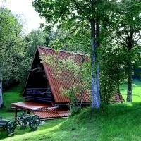 Kuća za odmor Gale, hotel din Delnice