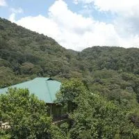 Gorilla Hills Eco-lodge, hotel i Kisoro
