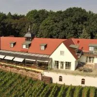 Meißen में, होटल Pension Bella Vista - Winzerhof Golk
