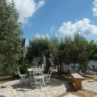 L'Ulivo Sul Mare, hotel di Cetraro