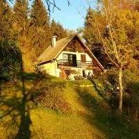 Tržič में, होटल Alpinejka House